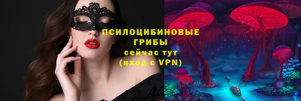 бошки Волоколамск