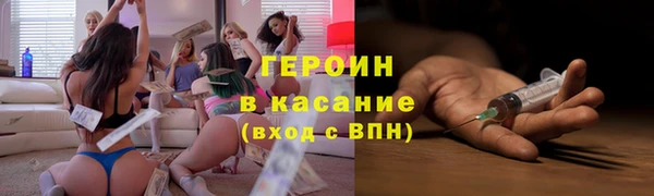 ГАЛЛЮЦИНОГЕННЫЕ ГРИБЫ Дмитриев