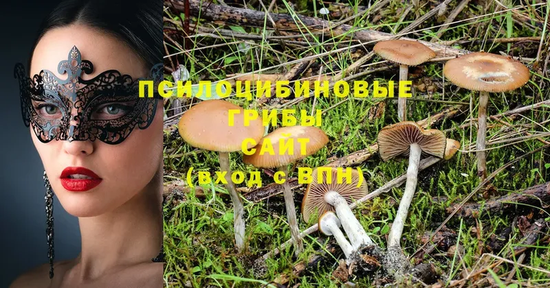 Галлюциногенные грибы Magic Shrooms  ссылка на мегу вход  Воткинск 