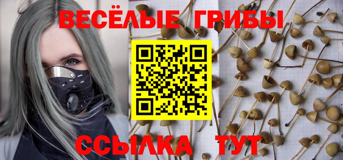 Псилоцибиновые грибы MAGIC MUSHROOMS Воткинск