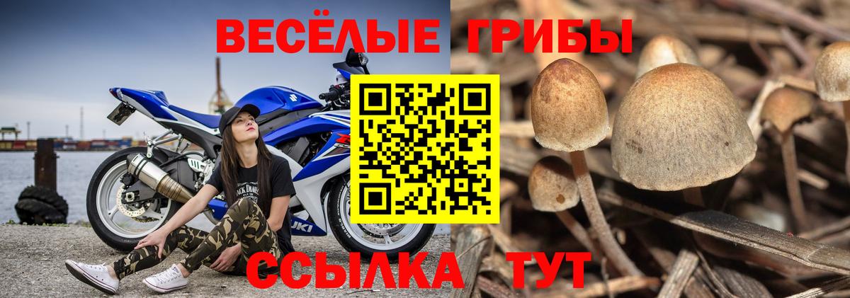 Псилоцибиновые грибы ЛСД Воткинск