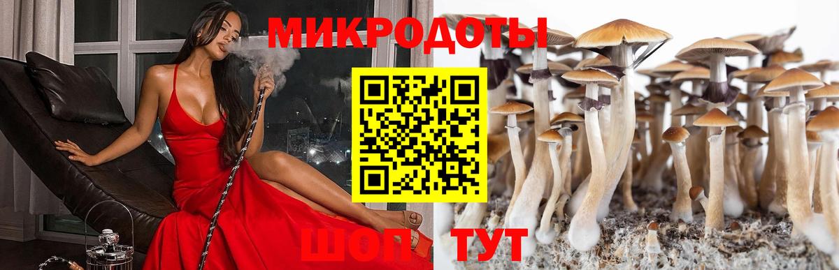 Псилоцибиновые грибы Cubensis  Воткинск 